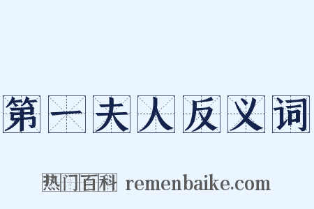 第一夫人反义词是什么意思的图片